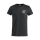 JFV Ganerb von Basic-T  99 S
