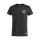 JFV Ganerb von Basic-T  99 XL