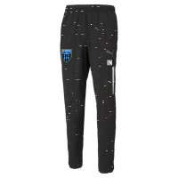 FC Speyer teamLIGA Sideline Pants Jr