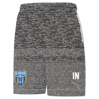 FC Speyer teamLIGA Sideline Shorts  XL