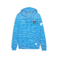 FC Speyer teamGOAL Casuals Hooded Ja