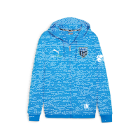FC Speyer teamGOAL Casuals Hooded Ja  164
