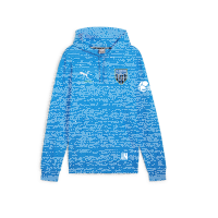 FC Speyer teamGOAL Casuals Hoody Jr  176