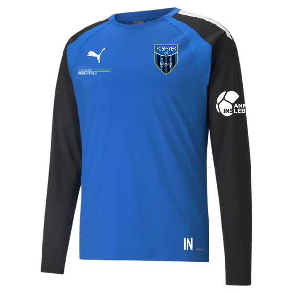 FC Speyer teamLIGA Training Sweat Jr  176