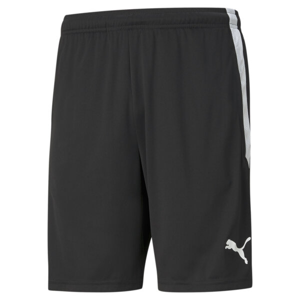 FC Speyer teamLIGA  Training Shorts