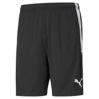 FC Speyer teamLIGA  Training Shorts