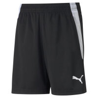 FC Speyer eamLIGA Training Shorts J  140