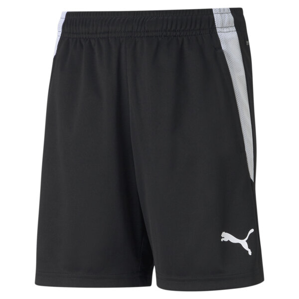 FC Speyer eamLIGA Training Shorts J  176