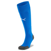 FC Speyer Team LIGA Socks