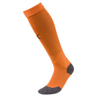 FC Speyer Team LIGA Socks