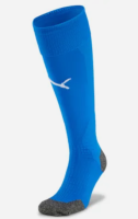 FC Speyer Team LIGA Socks  02 1