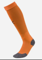 FC Speyer Team LIGA Socks  08 1