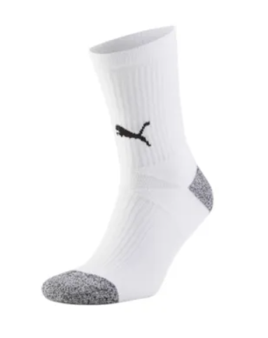FC Speyer teamLIGA Training Socks  04 1