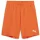 FC Speyer teamGOAL Shorts