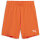 FC Speyer teamGOAL Shorts  08 S
