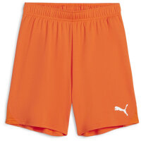 FC Speyer teamGOAL Shorts 08 XL