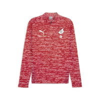 TuS Kleines Wiesental teamGOAL Training 1/4 Zip