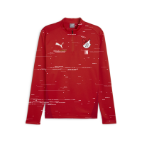 TuS Kleines Wiesental teamGOAL Training 1/4 Zip  L
