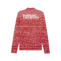 TuS Kleines Wiesental teamGOAL Training 1/4 Zip  L