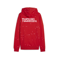 TuS Kleines Wiesental teamGOAL Casuals Hoody