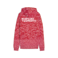 TuS Kleines Wiesental teamGOAL Casuals Hoody  L
