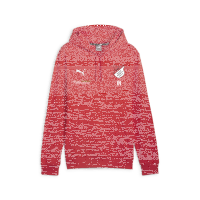 TuS Kleines Wiesental teamGOAL Casuals Hoody  XL