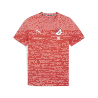 TuS Kleines Wiesental teamGOAL Casuals Tee