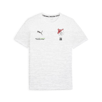 TuS Kleines Wiesental teamGOAL Casuals Tee