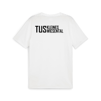 TuS Kleines Wiesental teamGOAL Casuals Tee