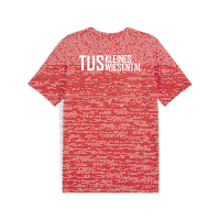 TuS Kleines Wiesental teamGOAL Casuals Tee