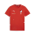 TuS Kleines Wiesental teamGOAL Casuals Tee  01 S
