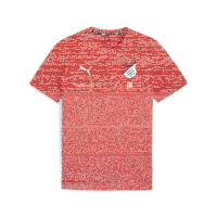 TuS Kleines Wiesental teamGOAL Casuals Tee  01 XL
