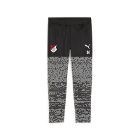 TuS Kleines Wiesental teamGOAL Training Pant  L