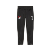 TuS Kleines Wiesental teamGOAL Training Pant  XL