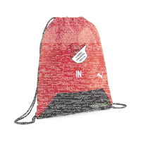 TuS Kleines Wiesental teamGOAL Gym Sack