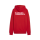 TuS-Kleines Wiesental teamGOAL Casuals Hoody Jr