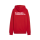 TuS Kleines Wiesental teamGOAL Casuals Hooded Ja