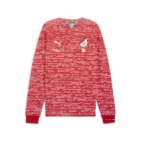 TuS Kleines Wiesental teamGOAL Casuals Crew Neck