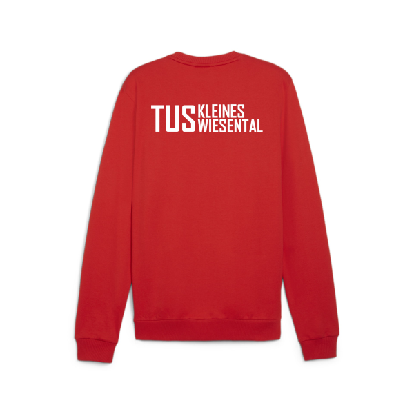 TuS Kleines Wiesental teamGOAL Casuals Crew Neck  176