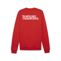 TuS Kleines Wiesental teamGOAL Casuals Crew Neck  176