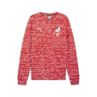 TuS Kleines Wiesental teamGOAL Casuals Crew Neck  176