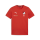 TuS Kleines Wiesental teamGOAL Casuals Tee Jr