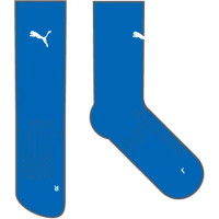 TuS Altrip teamGOAL Performance Sock