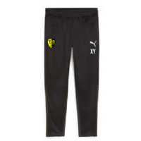TUS Knittelsheim teamGOAL Training Pant Jr 176