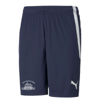 Anton-Hansen-Schule Ottweiler teamLIGA Shorts Jr