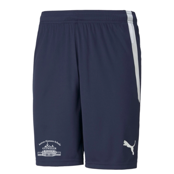 Anton-Hansen-Schule Ottweiler teamLIGA Shorts Jr - Peacoat-Puma White | 152