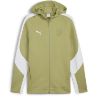 FCS Trainer teamEVOSTRIPE Hooded Jacket