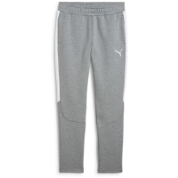 FCS Trainer teamEVOSTRIPE Pants