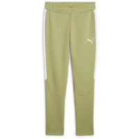 FCS Trainer teamEVOSTRIPE Pants