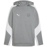 FCS Trainer teamEVOSTRIPE Hoody